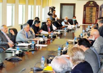 ECC approves Rs24.26 fertilizer subsidy, enhance support prices to Rs2200 per mund