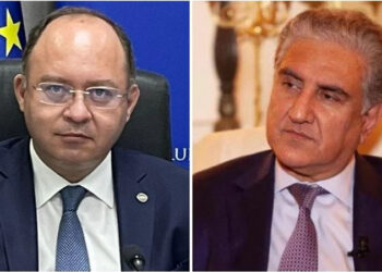 Qureshi calls Romanian FM to discuss facilitation for Pakistanis’ evacuation