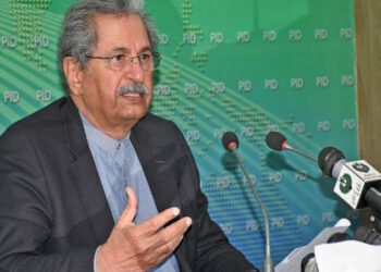 Single national curriculum to end division, provide level playing field: Shafqat