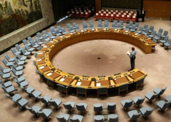 India, its allies seeking permanent UNSC seats for power, not to promote world peace: Pakistan