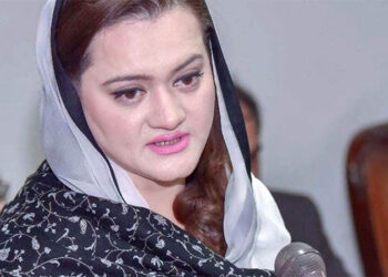PM announces special remission in sentences of prisoners: Marriyum