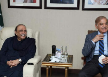 Asif Zardari, Bilawal Bhutto meet prime minister