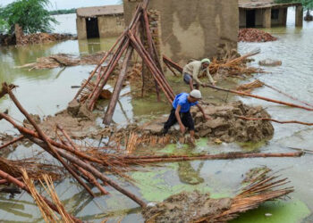 Global forums announce over $500m aid for flood relief programs