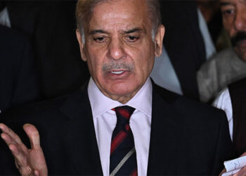 Pakistan’s flood devastation in need of serious global attention: PM