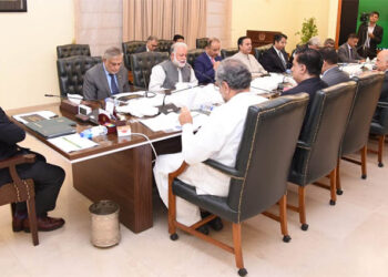 PM orders cutting reliance on imported fuel for cheap power generation