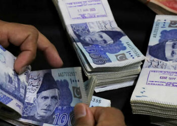 pakistani currency